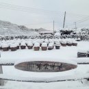 구만리콩마을 영농조합법인 이미지