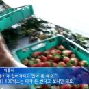 금은농장 이미지