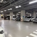세븐일레븐 대구범어점 | 대구ems 수성구 누워서하는다이어트 2회 인바디 결과 있음 에이펙스 이엠에스 스튜디오 대구점 후기