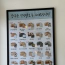 대구 신천역 근처 수제발효종 식빵이 맛있는 갓식빵 / 대구 신암동 갓식빵 / 예약도 가능한 갓구운...