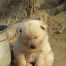 나잡아바라 이미지