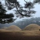 경주 국립공원 삼릉숲 소나무숲 남산지구 명소 왕릉 여행지 맛집 가볼만한곳 이미지