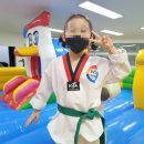 한양대 리더 태권도장 이미지