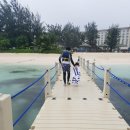 가오리PC 이미지