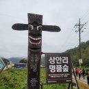 횡성 사재산 명품숲길 트레킹.. 이미지