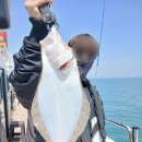 한바다낚시할인마트 앞 | 평택항배낚시 4월 출조 후기와 준비는 대교할인마트에서 시작하세요