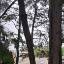 요셉카센타 이미지