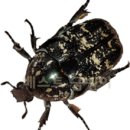 베스트농장 이미지