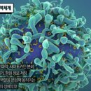 에이스시스템