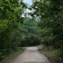 남산등산로화장실 이미지