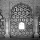 고양이랑 이미지