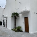 여수백제약국 이미지