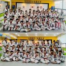 경희 현대 태권도 이미지
