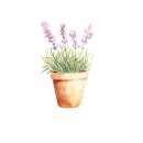 대전탄방중학교 이미지