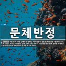 반정 | 정조가 집권후기 문체반정을 시행한 이유는?!