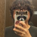 멋찐여우 이미지