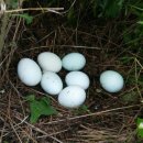 바람골농장 이미지