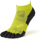 람스포츠 이미지