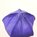 거제사슴영농조합법인 이미지