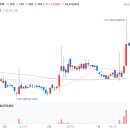 영남바이오(주) 이미지