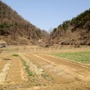 유가솜씨 이미지