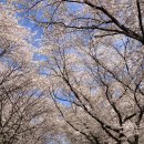 옥천군군북면보건지소 이미지