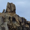 박달나무쉼터 옆 이미지