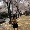 예스교복 이미지