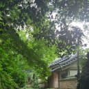 백운동 정원 이미지