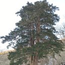 도사곡길 이미지