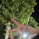 해화미용실
