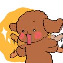 30센치옛날수제왕돈가스 네이버블로그