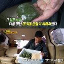 해남떡집
