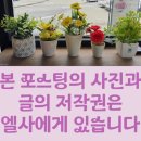 금나래네일 | 금나래갤러리-조승호 작가<시간을 훔쳐>/주차안내