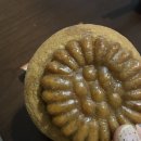 틀니쟁이 이미지