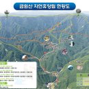 1353 이미지