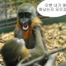 뜨락펜션 이미지