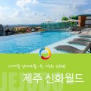 제주 신화월드 신화관 패밀리트윈 + 스카이풀 수영장 호캉스