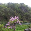 금관절경 이미지