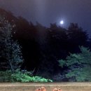 푸른온천목욕탕