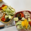 트렌드 핏 이미지