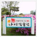 날으는곰나무공작소 네이버블로그