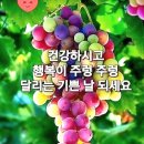 피그커피 - 서초구 사임당로17길 123 | 피그커피