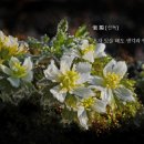 신독