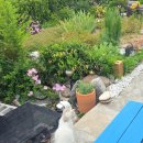 바람의언덕 동해타파스 와인&비어 이미지