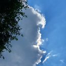 파란 하늘에 구름과 바람 그리고 나무가 그린 수채화 이미지