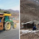 진밭목장 조선일보