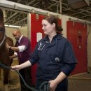 영남동물병원 이미지