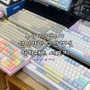 키보드를 잘 몰라서 타건샵에 가봤습니다(구산컴넷, 세모키)