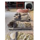 멍팔자 상팔자 이미지